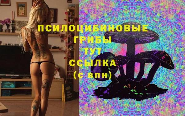 каннабис Алексин