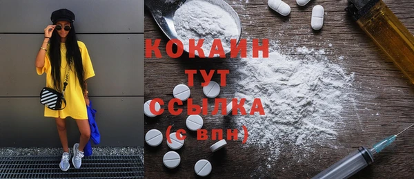 соль ск Алзамай