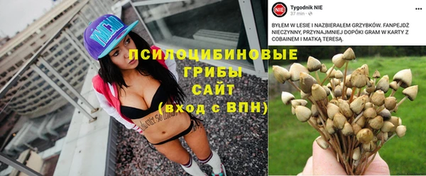 соль ск Алзамай